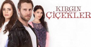 kirgin cicekler